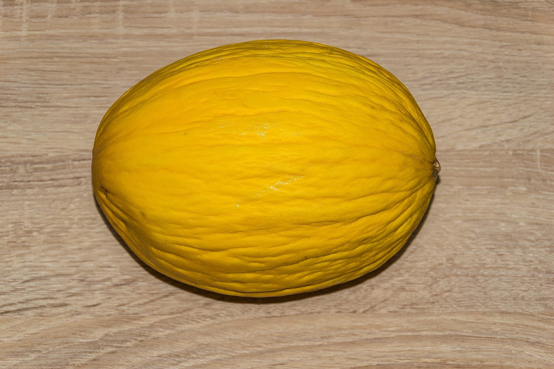 rockmelon in a raised bed