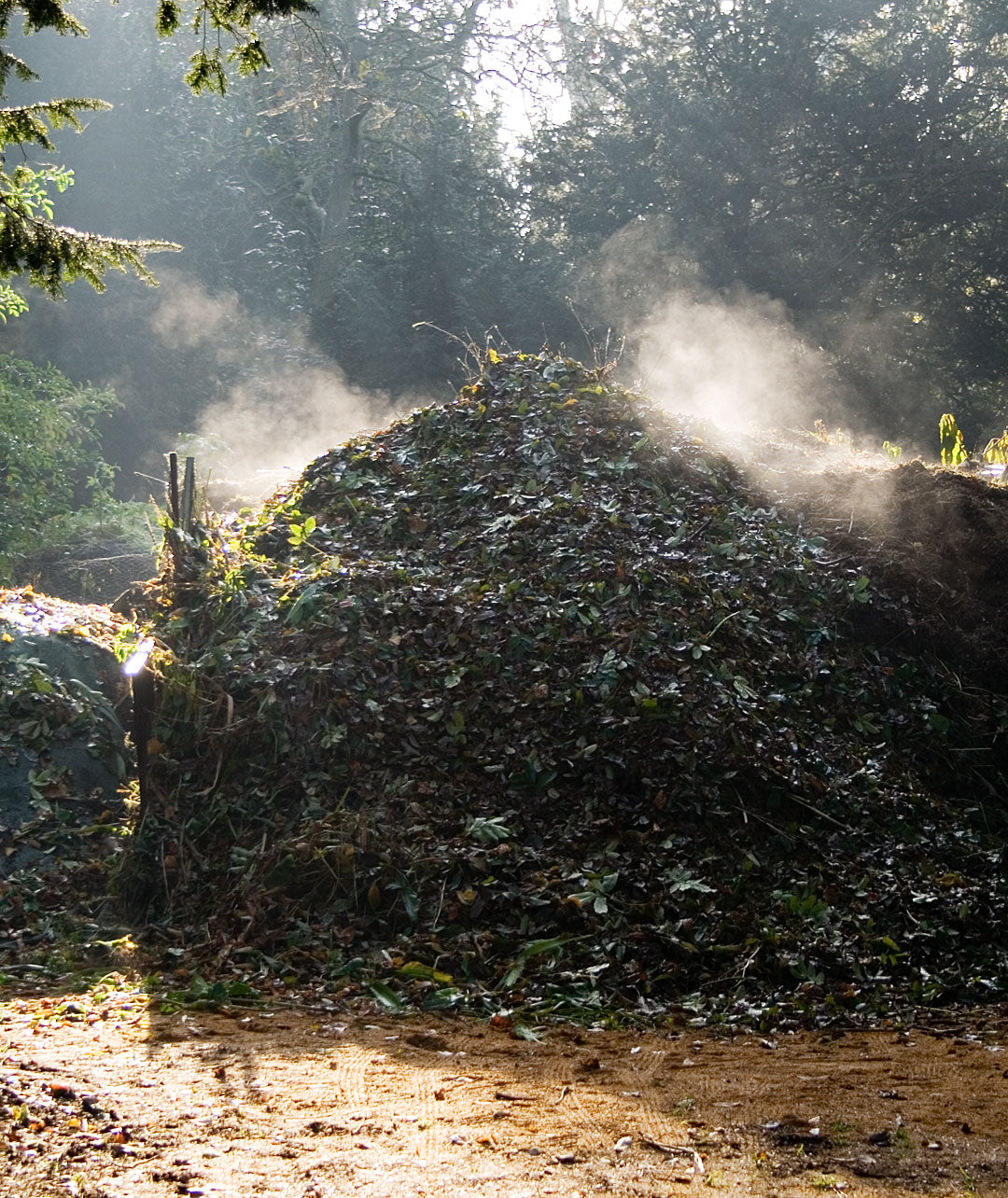 A compost heap showing organic matter used to fertilise garden beds