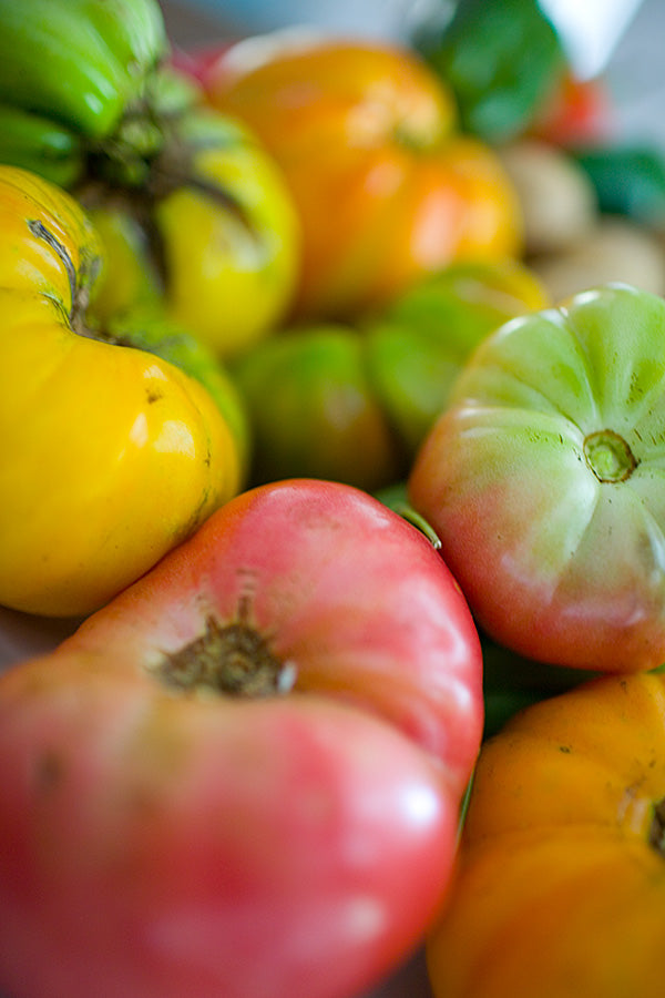A variety of colourful heirloom tomatoes