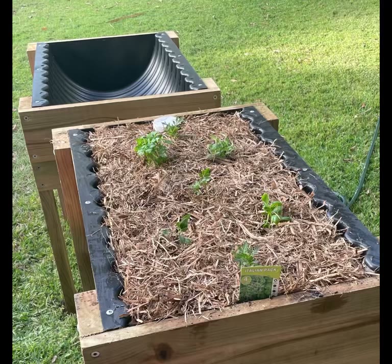 Completed DIY wicking bed topped with sugar cane mulch