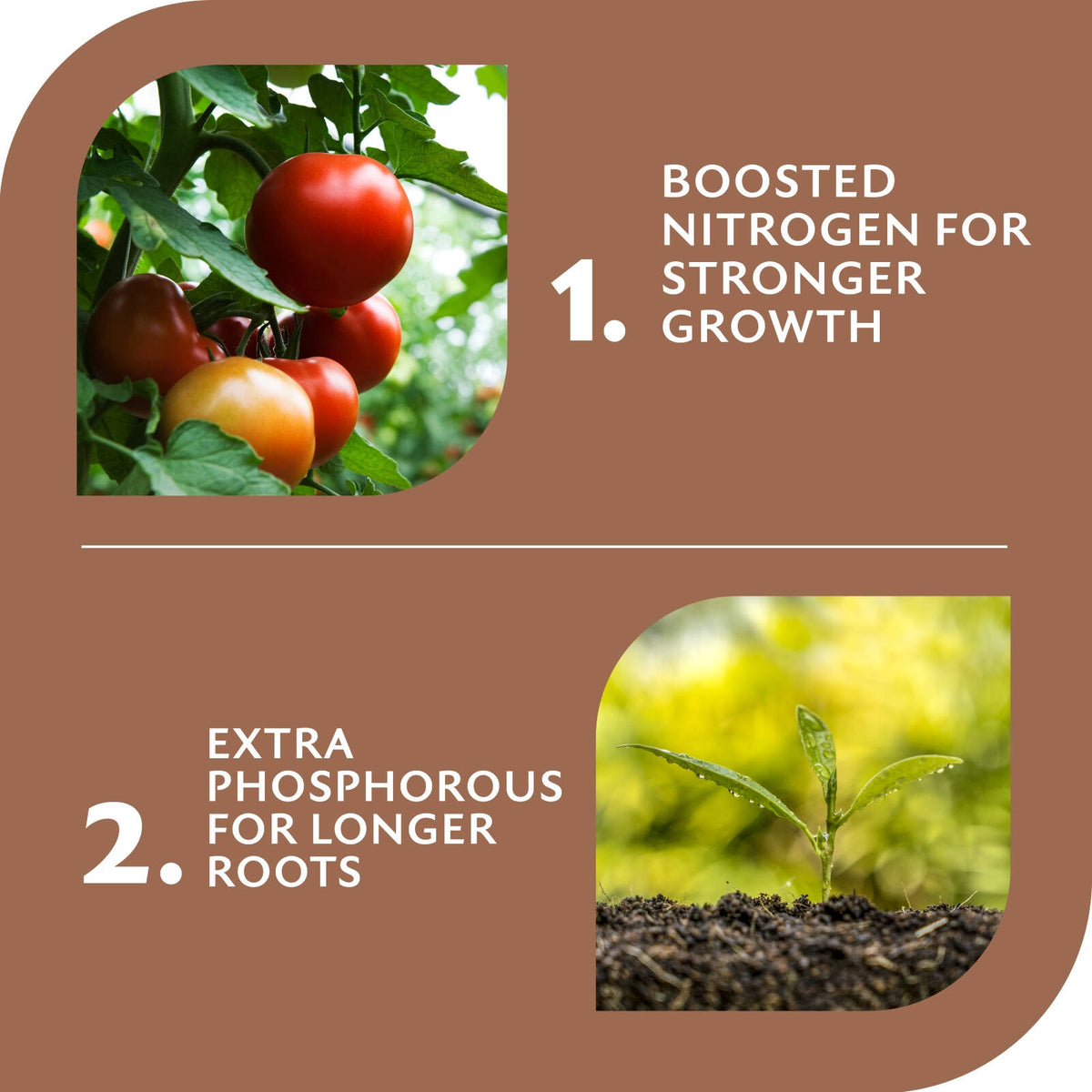 Yates Dynamic Lifter Tomatoes Vegies Herbs detail