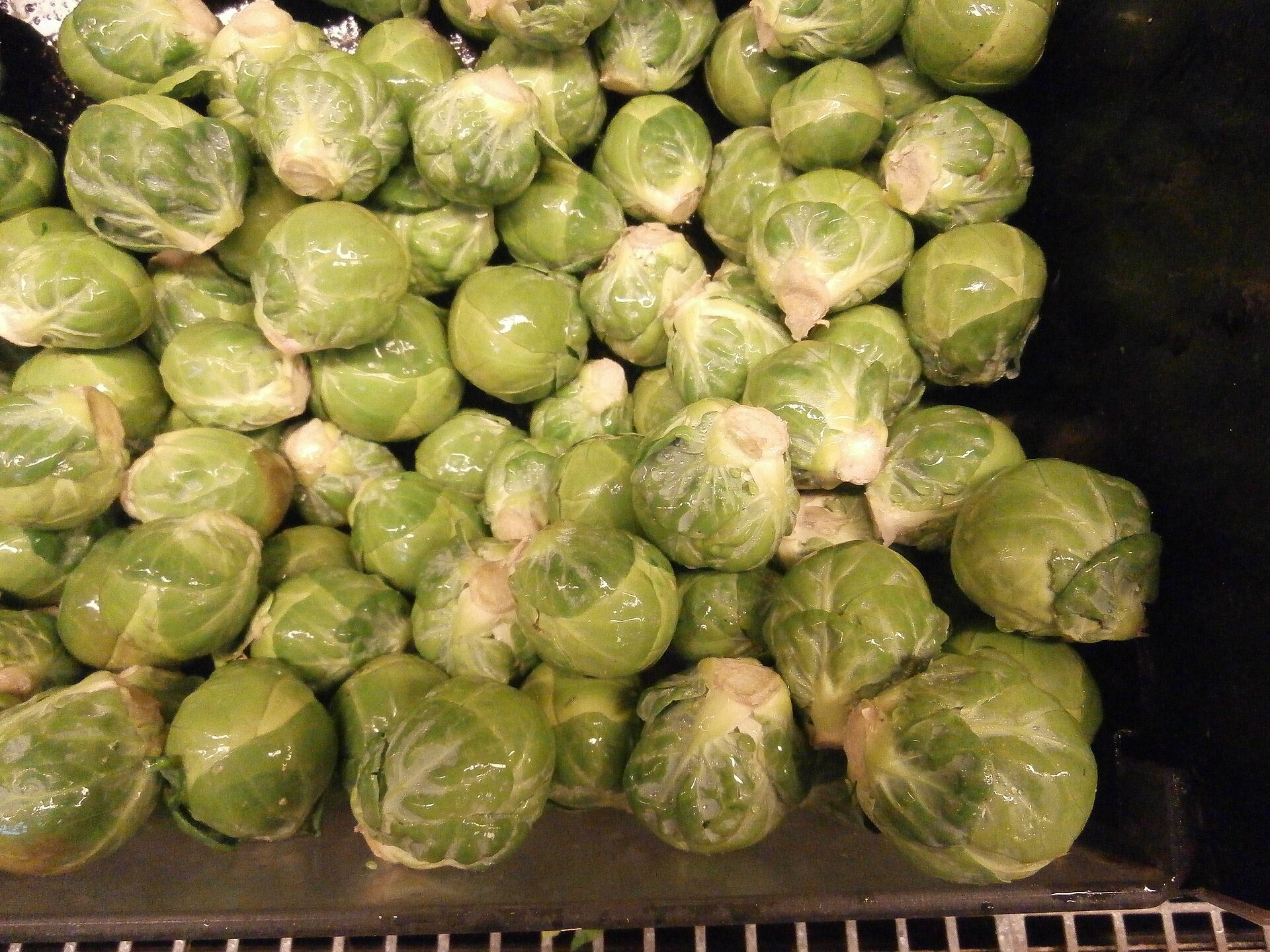 brussels sprouts in a raised bed