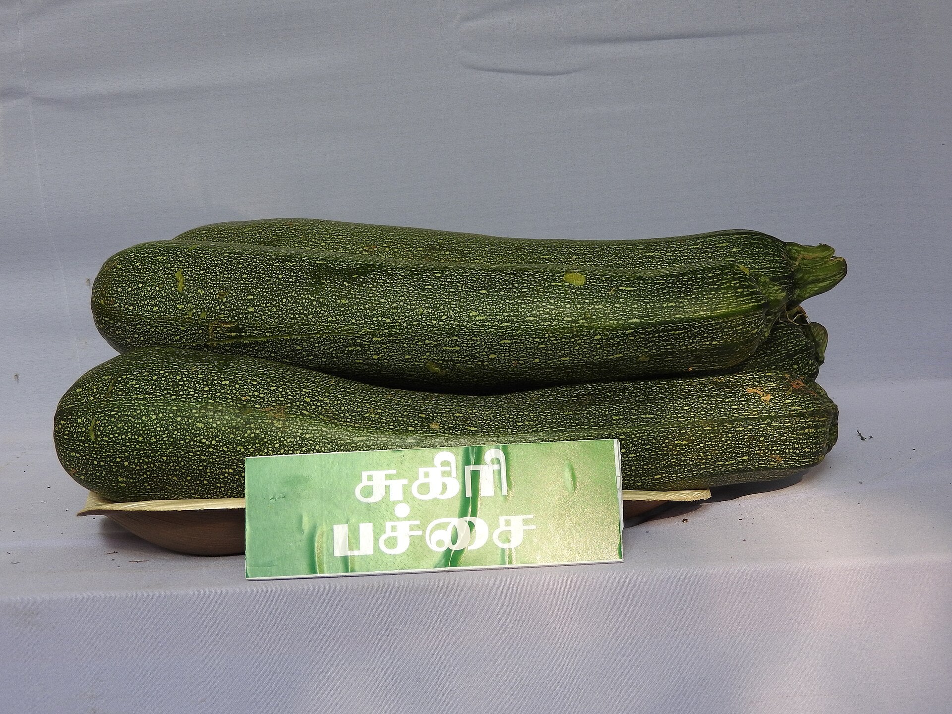 zucchini in a raised bed