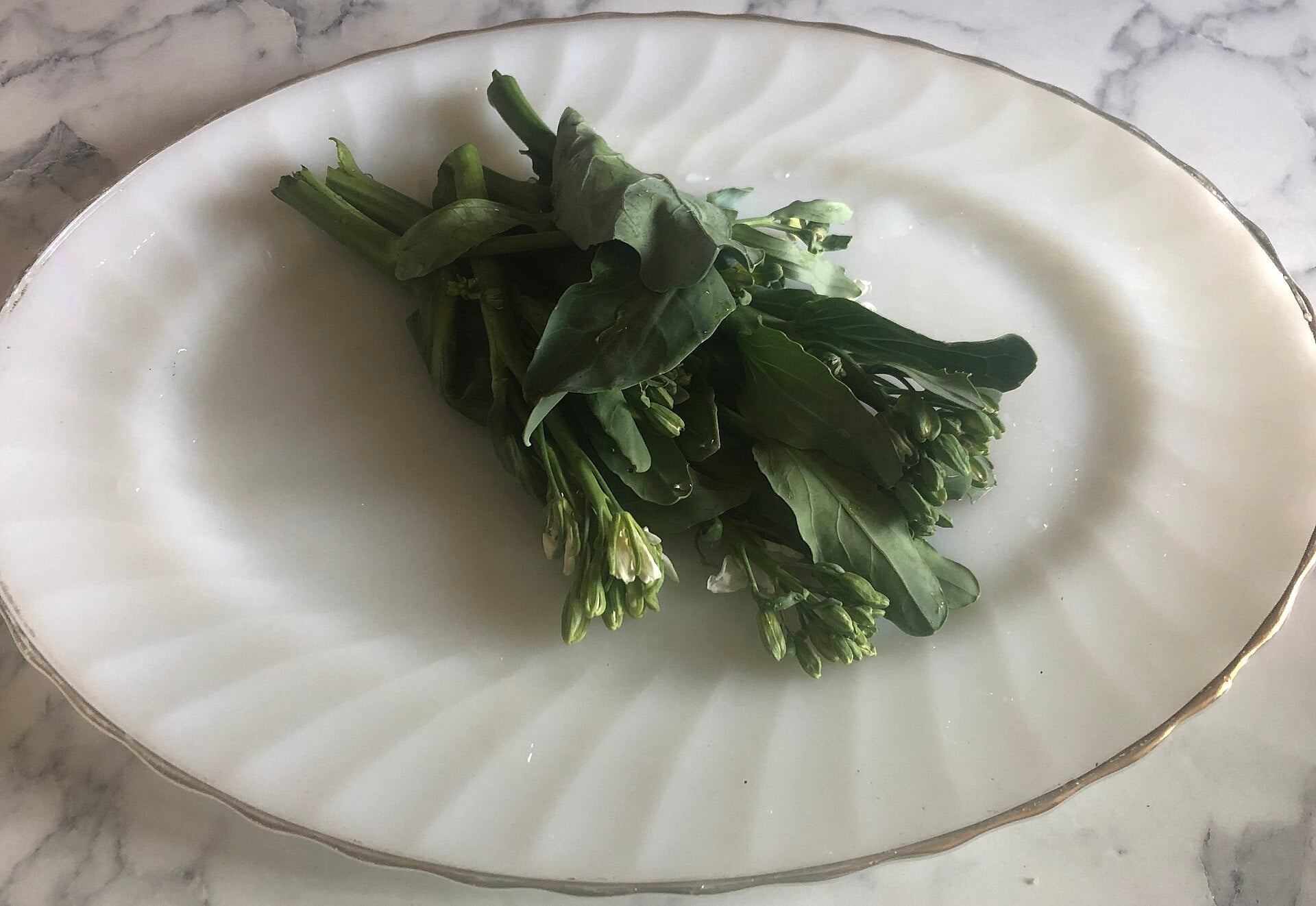gai lan in a raised bed