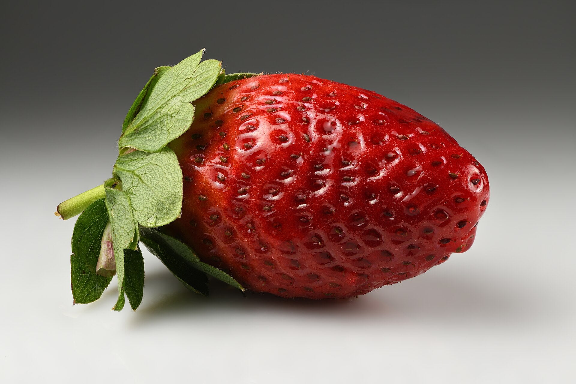 strawberries in a raised bed