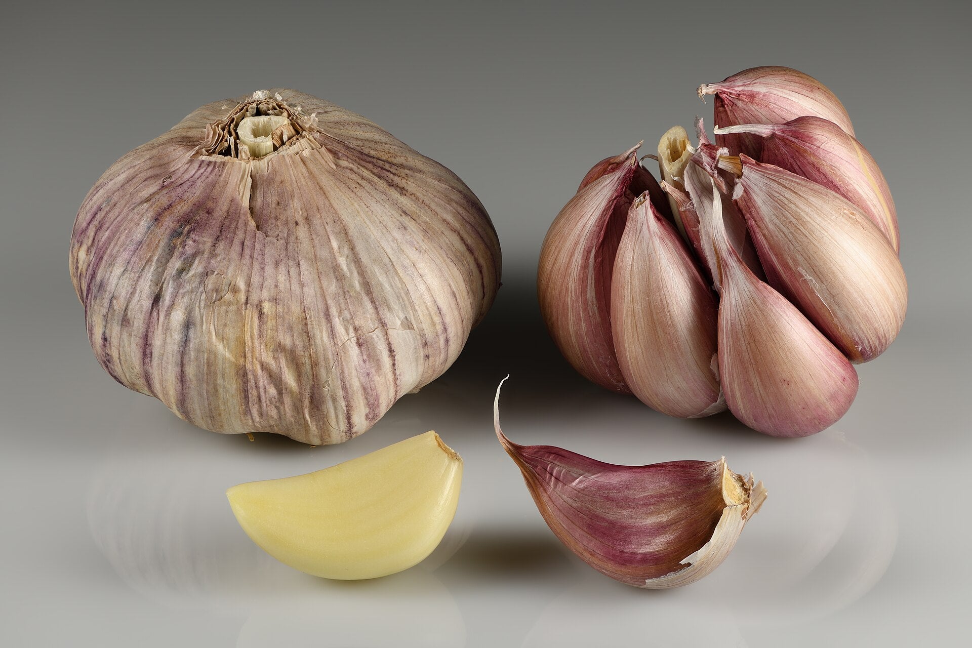 garlic in a raised bed
