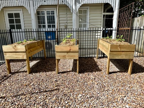 Discover the Benefits of Raised Garden Beds in Your Backyard