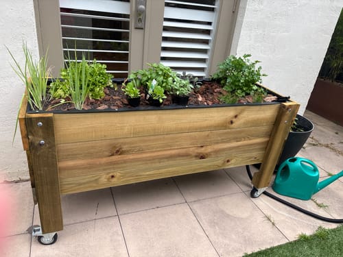 A Corrogarden timber raised garden bed on wheels planted with herbs, the potting mix topped with bark mulch to keep moisture in