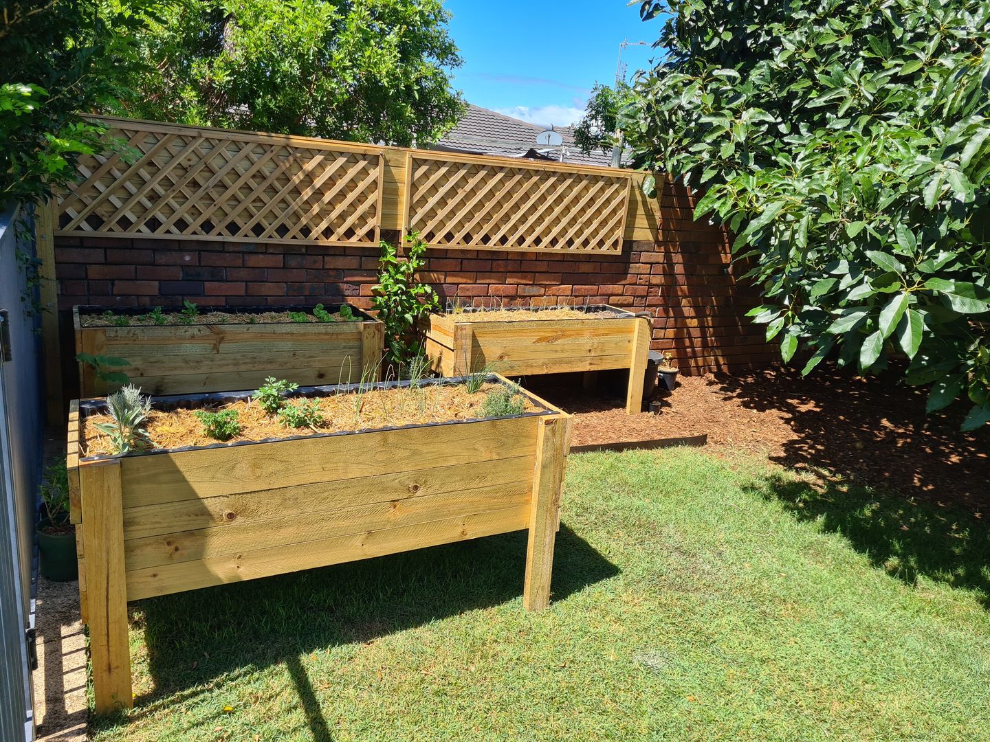 A Beginner's Guide to Building Your Own Raised Garden Bed