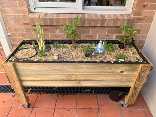A mulched Corrogarden timber raised garden bed on legs planted with herbs, standing on a brick patio with a collection container underneath