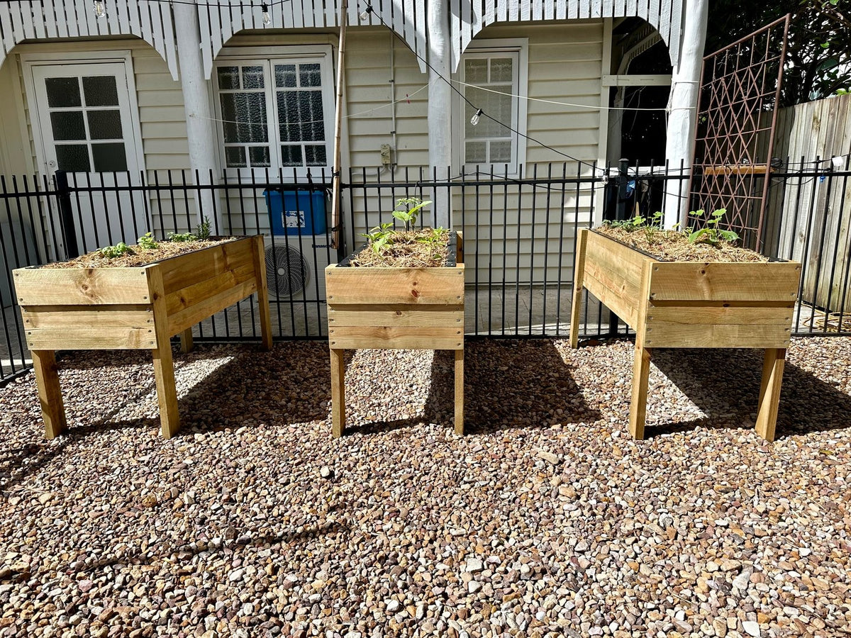 What are the benefits of a raised garden bed?