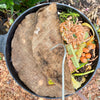 Tumbleweed Worm Farm Aerator tool