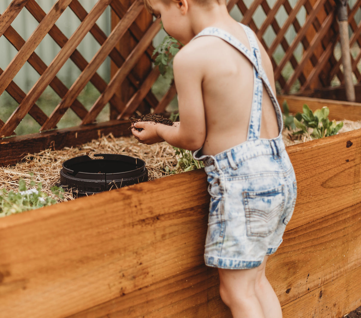 Tumbleweed Worm Buffet in-ground worm farm