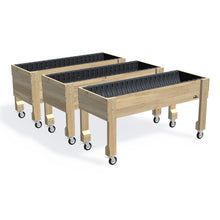 Large Raised Garden Bed with Wheels Kit - 157x60x80cm(h) — the full range of timber garden beds, shown together