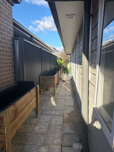 Customer photo review of Large Raised Garden Bed with Wheels Kit - 157x60x80cm(h) - Australia Wide Shipping